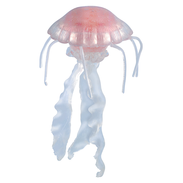Jellyfish Ooey Gooey